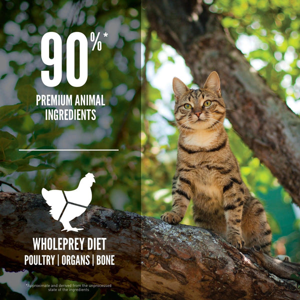 ORIJENGuardian8CatFeatureCanadaEMEAAPAC.jpg