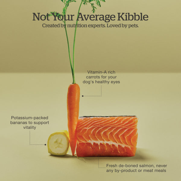 fgp000226-carousel-omni-06-enca.jpg
