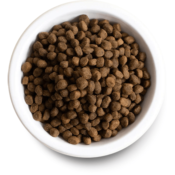 image_b10e598a-0bd6-4127-90e2-6637814aa94a.png