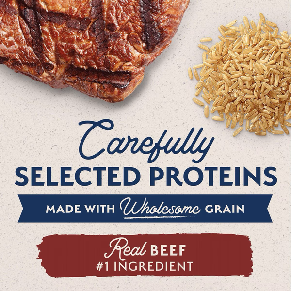 image_e4b06843-3299-4101-84d8-3c2edb36e3aa.png