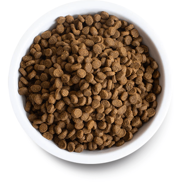 image_e57c97ef-ccfc-4d44-8f3f-94eb2d03af8a.png